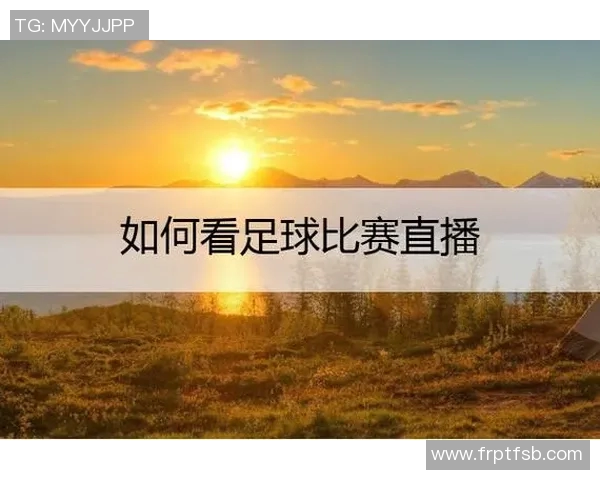 如何解决无法观看足球比赛直播的问题与技巧分享